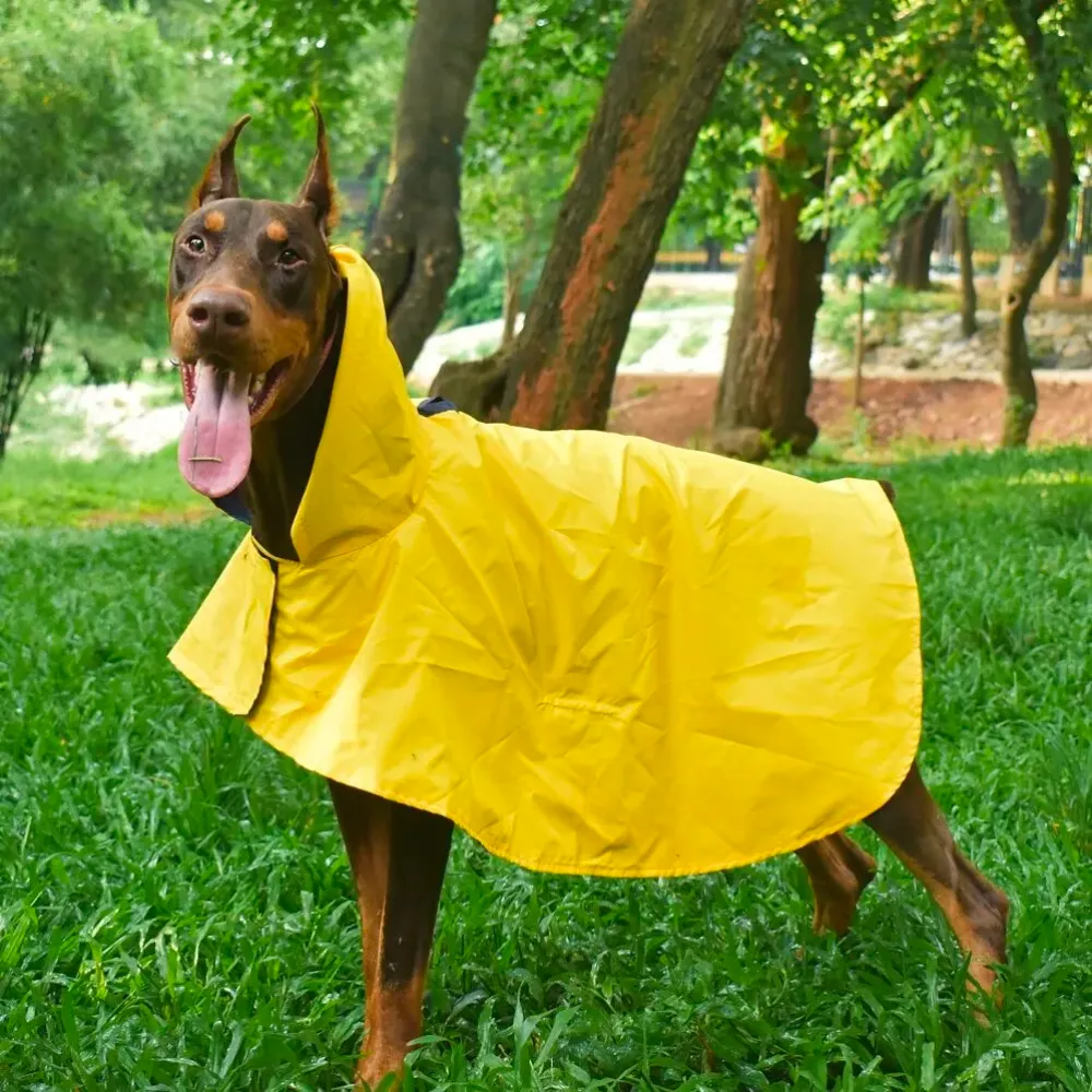 Cape Style Dog Raincoat (Yellow)