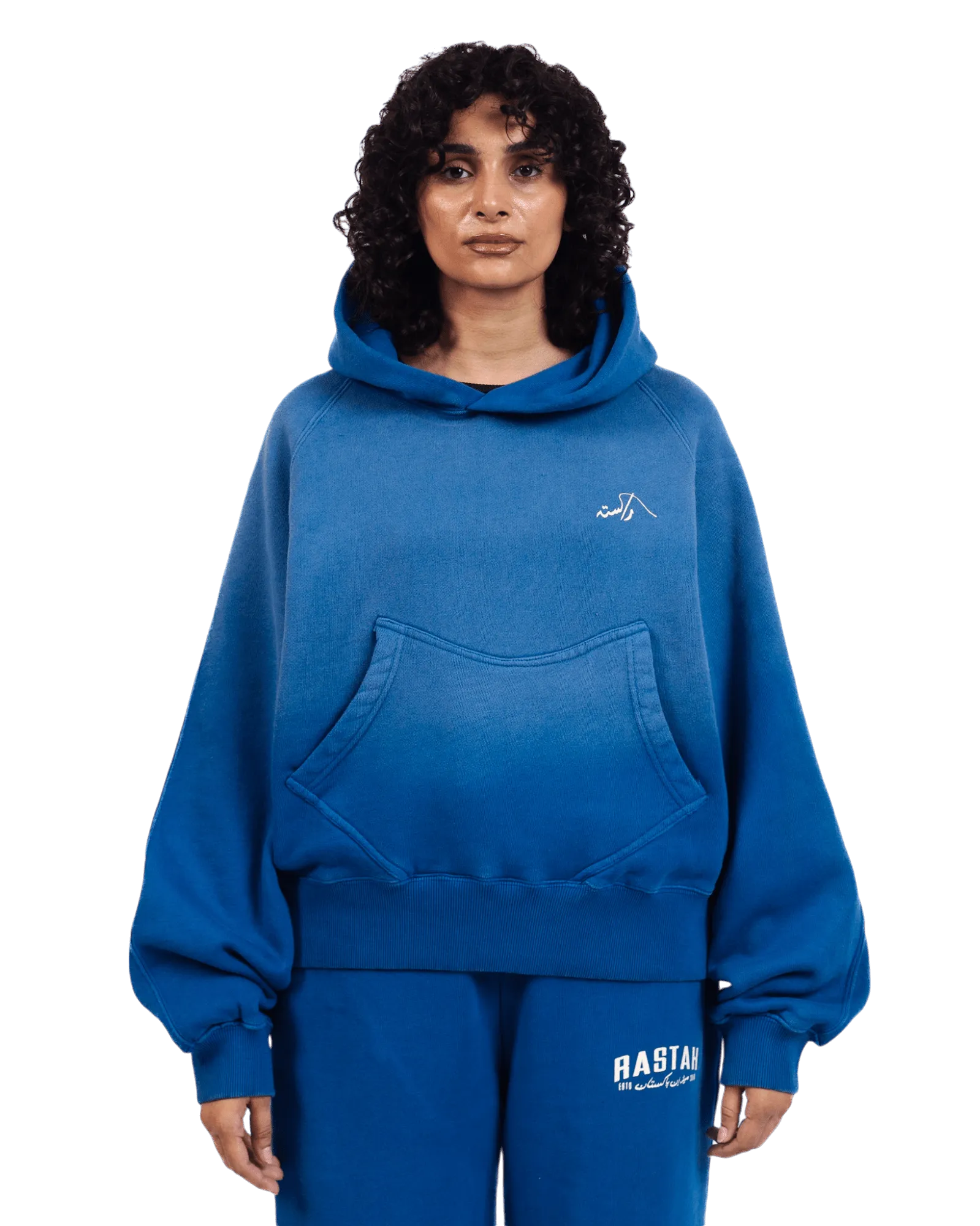 FADED BLUE LOGO HOODIE (v2)