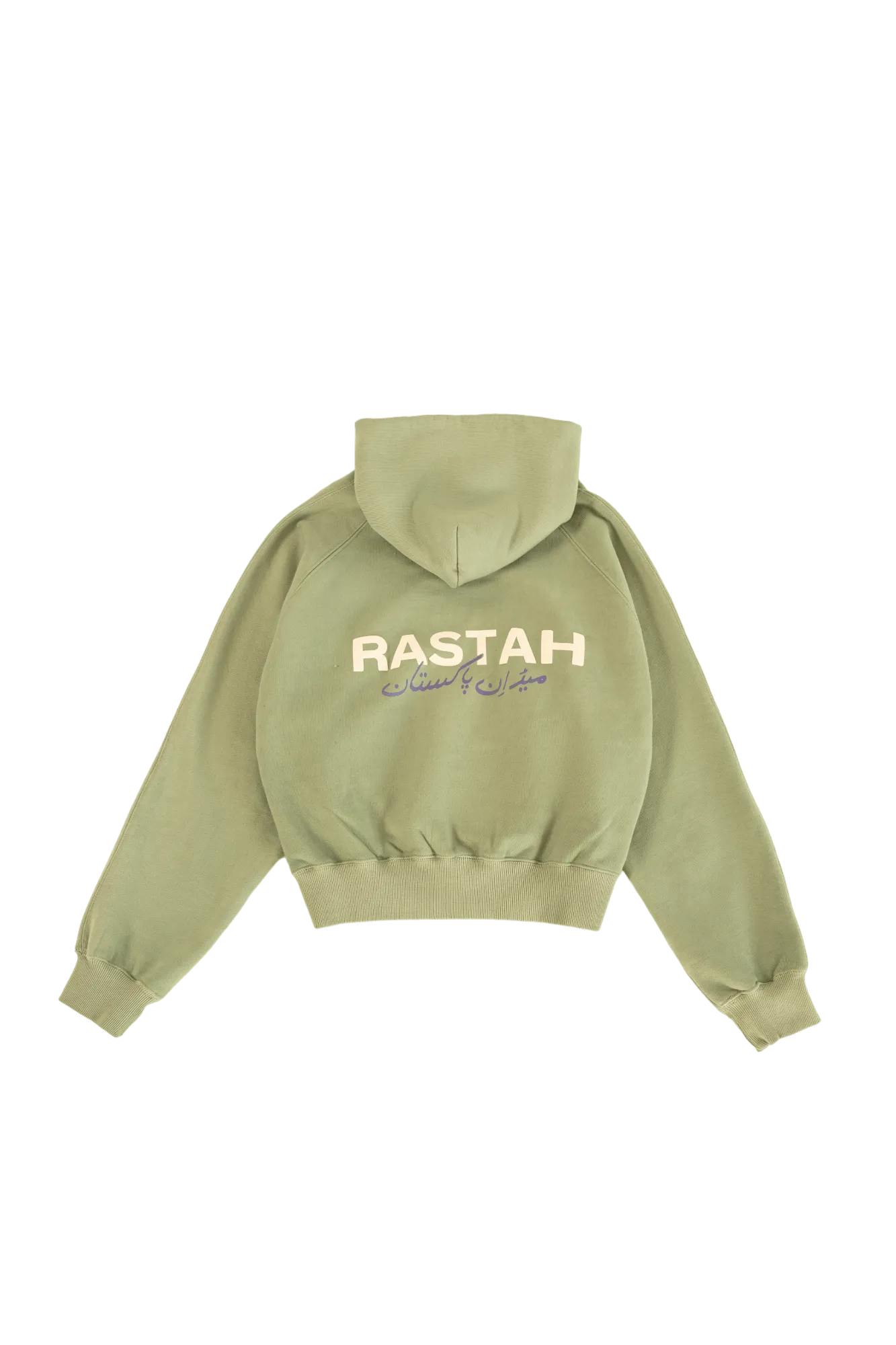 SAGE MADE IN PAK HOODIE (v2)