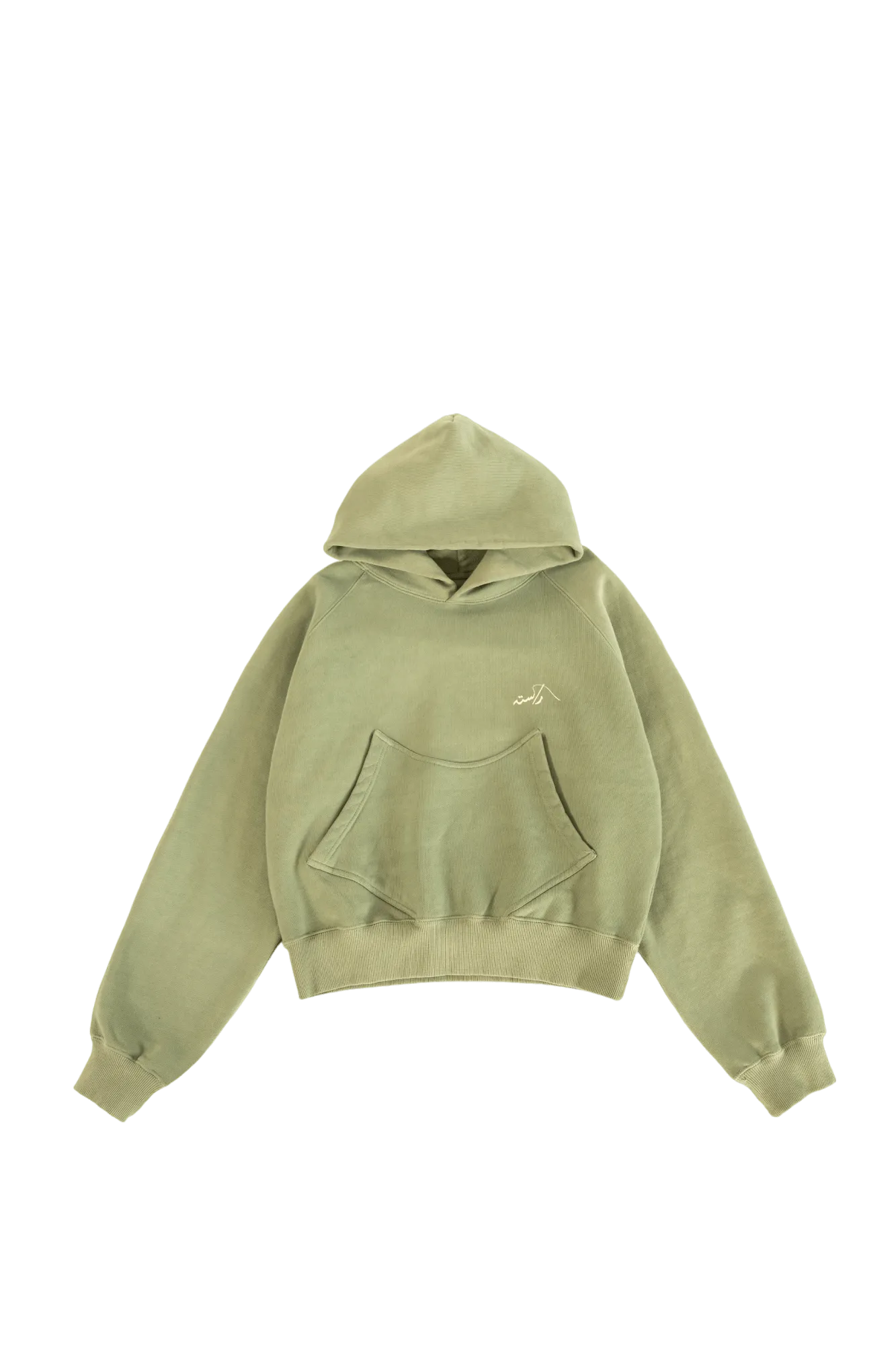 SAGE MADE IN PAK HOODIE (v2)