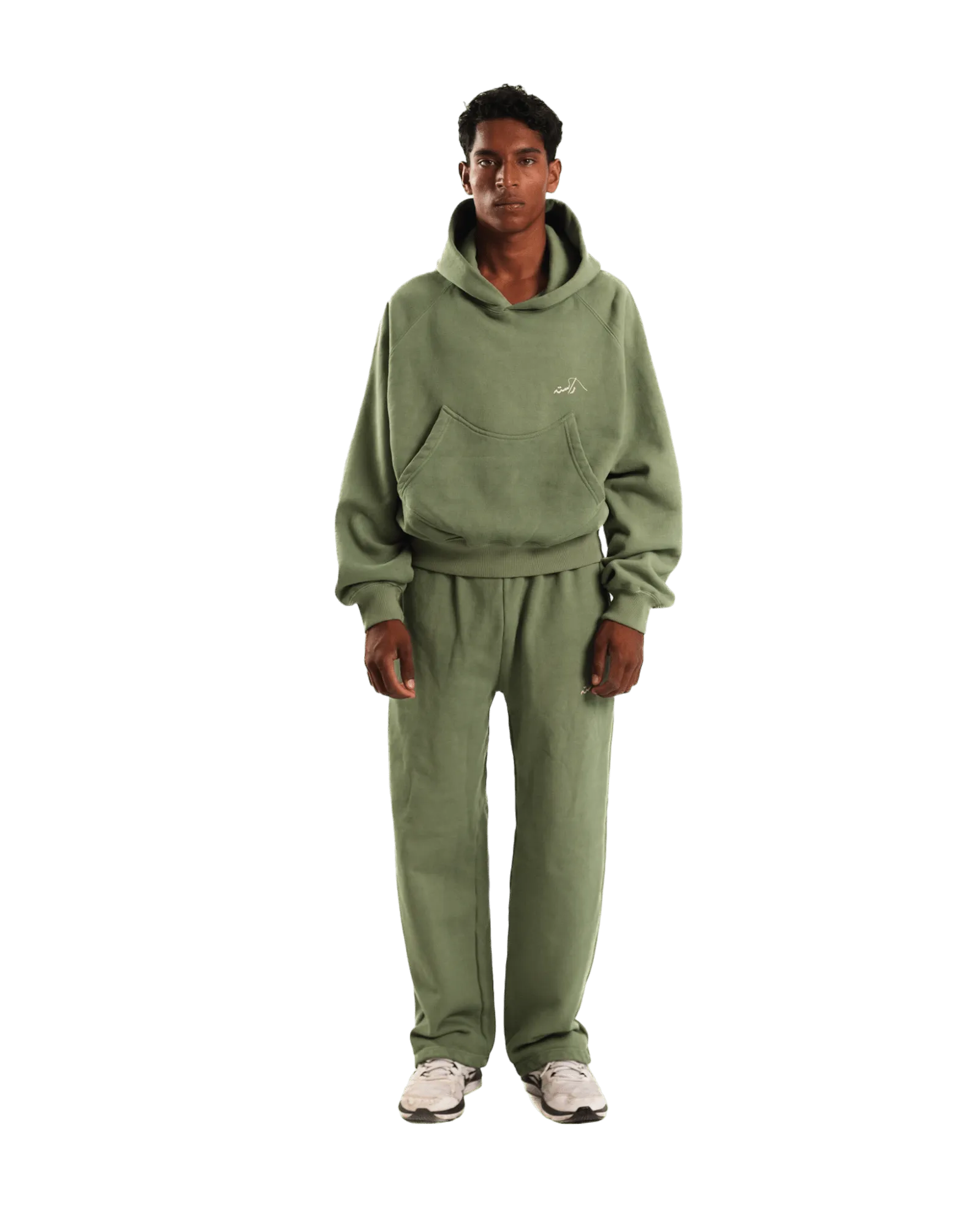 SAGE MADE IN PAK HOODIE (v2)