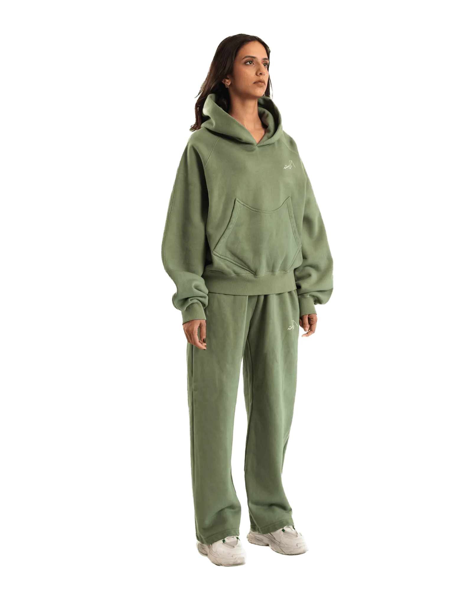 SAGE MADE IN PAK HOODIE (v2)
