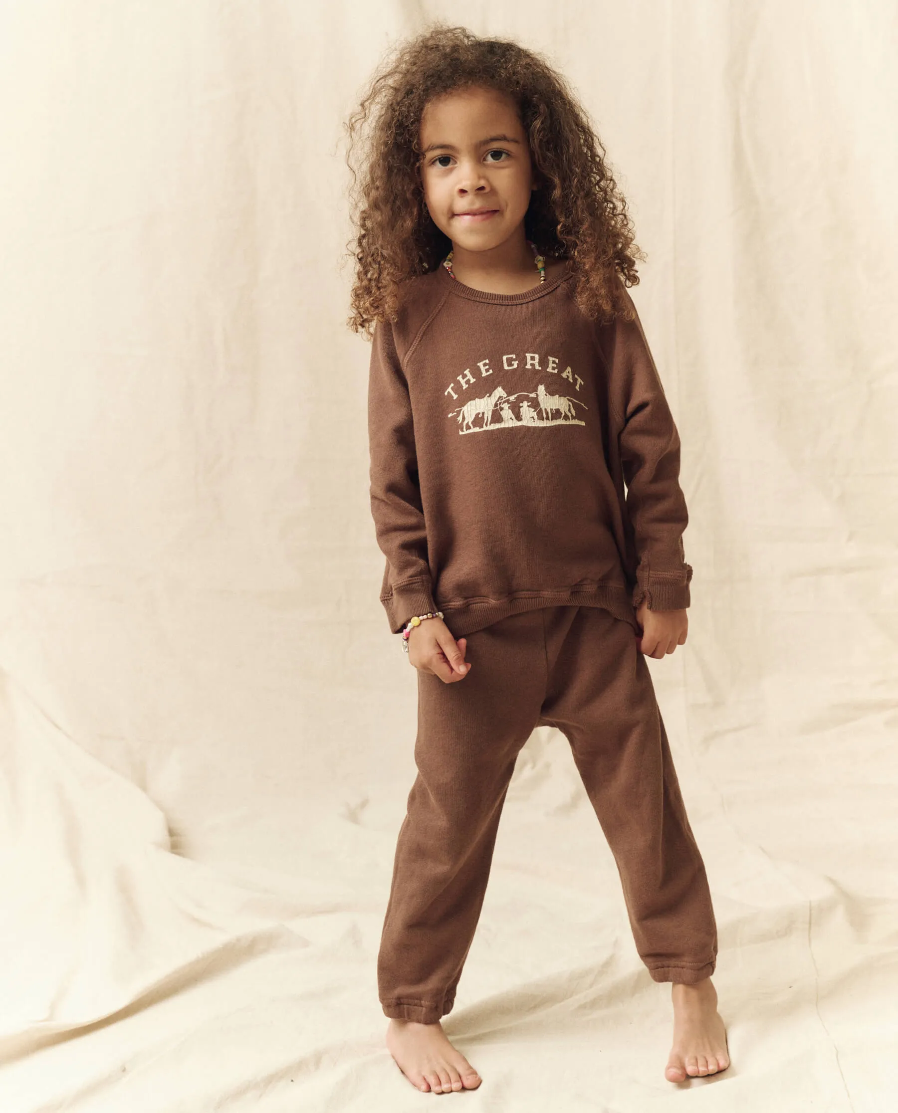 The Little College Sweatshirt. -- Hickory with Gaucho Graphic