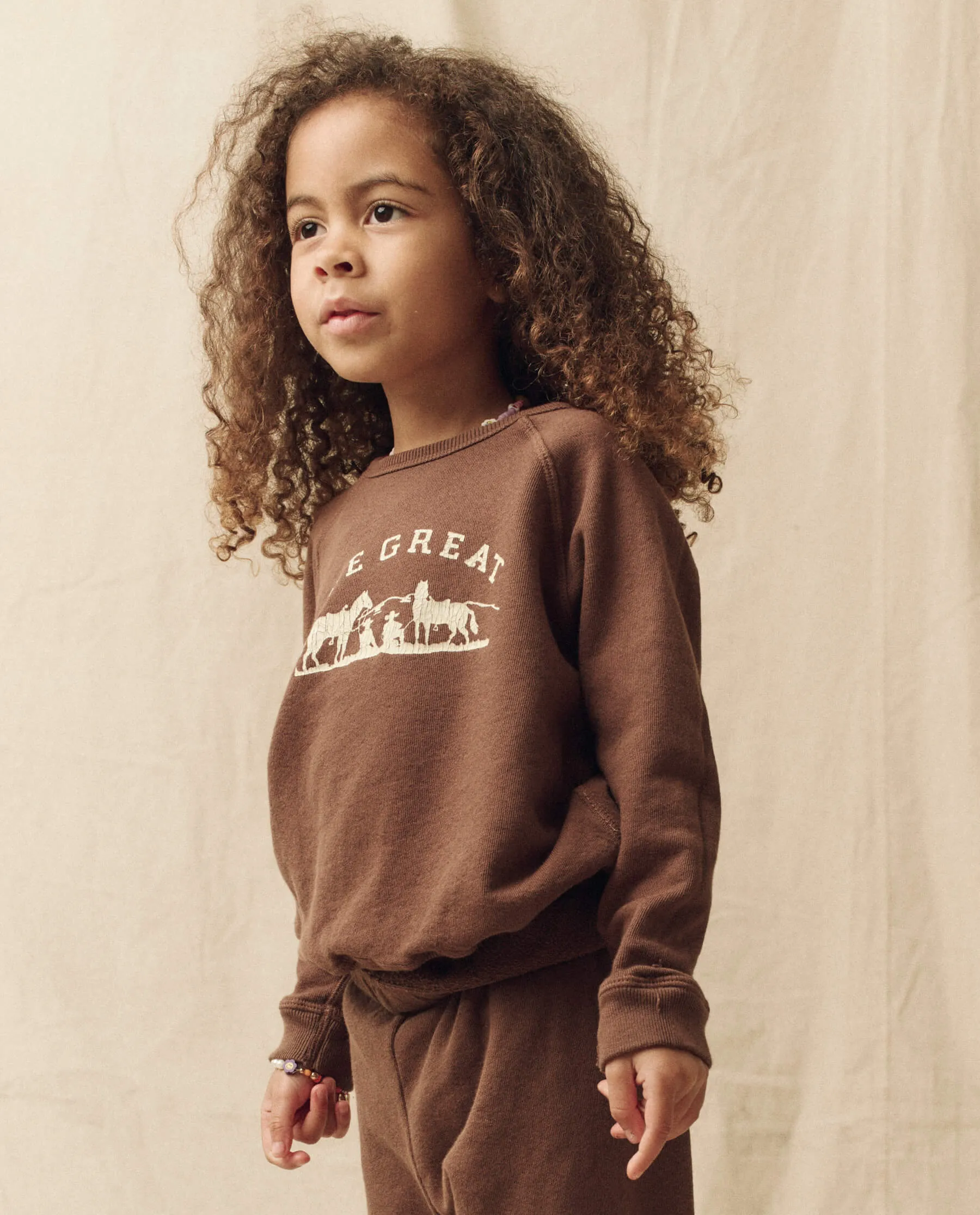 The Little College Sweatshirt. -- Hickory with Gaucho Graphic